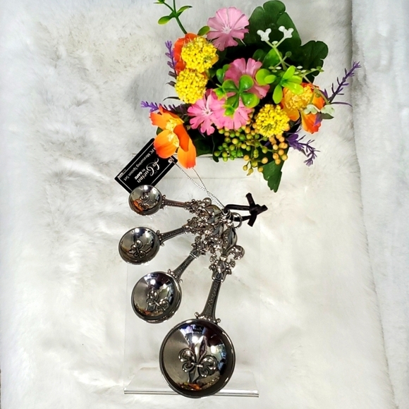 GANZ Other - "LA CUCINA" 4PC MEASURING SPOON SET BY Ganz